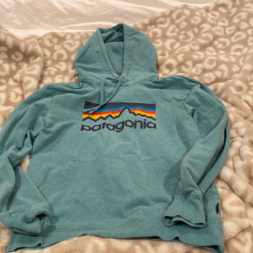 Blue Patagonia hoodie size xs